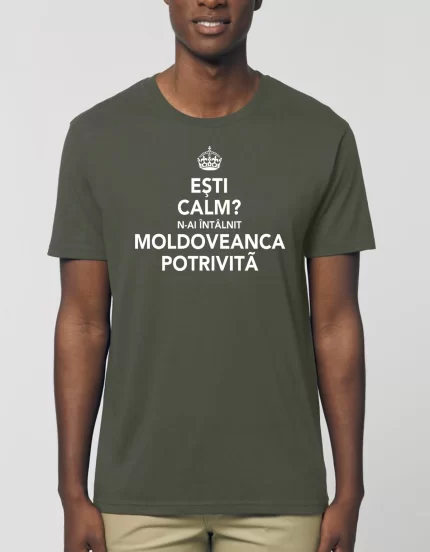 Tricou Basic Barbati MOLDOVEANCA POTRIVITA