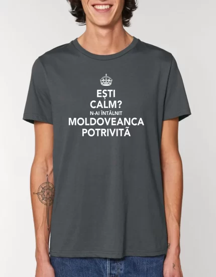 Tricou Basic Barbati MOLDOVEANCA POTRIVITA